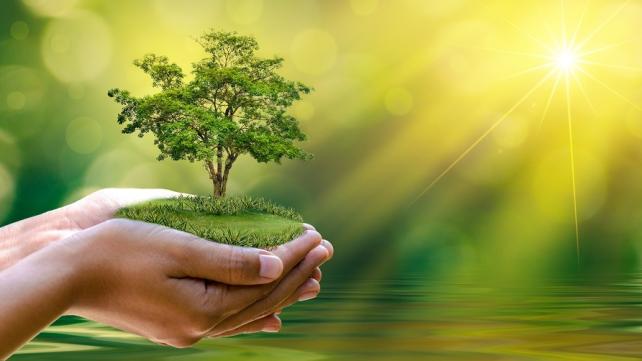 صحت مند زندگی – قدرت کا انمول تحفہ